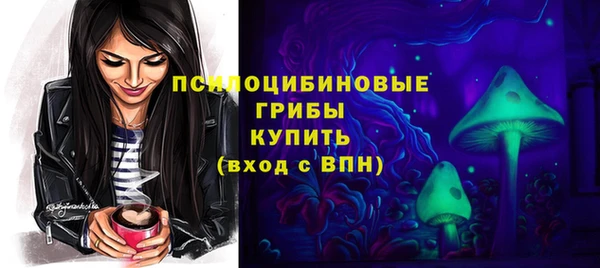 гидропоника Медвежьегорск